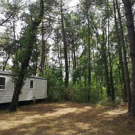camping la dune blanche Camiers Bagian luar foto